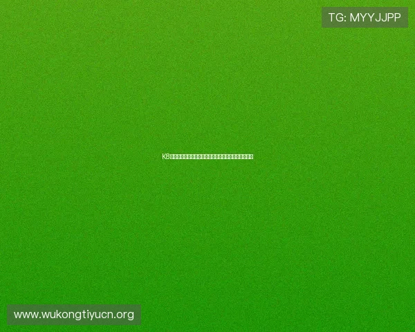 K8视讯主页登录安全技巧,保障您的资金与个人信息安全